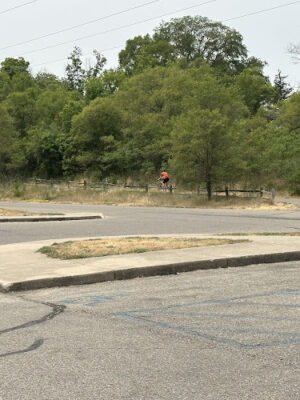 Public Parking