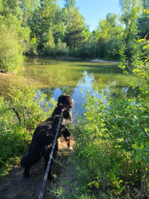 Rogue River Park