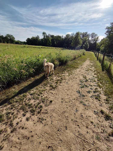 BCCD dog park