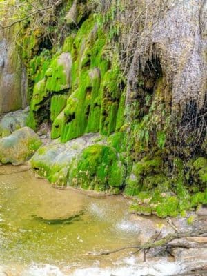 Colorado Bend State Park