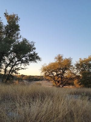 Colorado Bend State Park