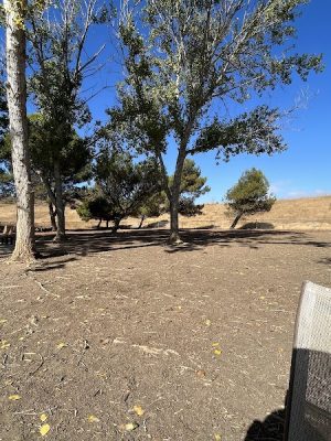 Benicia Dog Park