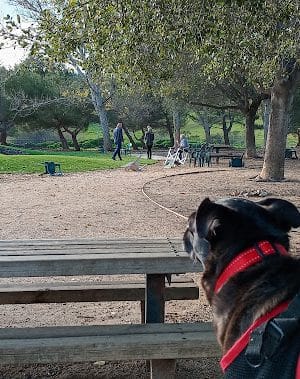 Benicia Dog Park