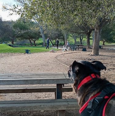 Benicia Dog Park