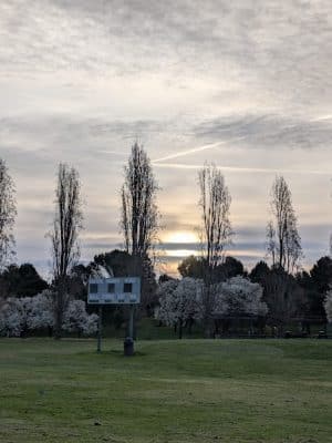 Benicia Dog Park