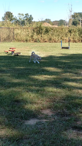 Benton Dog Park