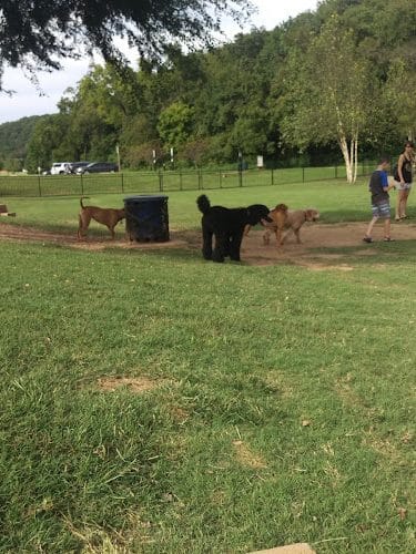 Bark Park - Bentonville, AR