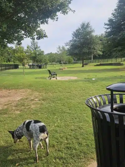 Bark Park - Bentonville, AR