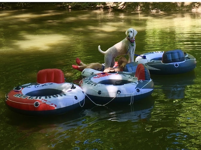 Shenandoah River State Park - Bentonville, VA