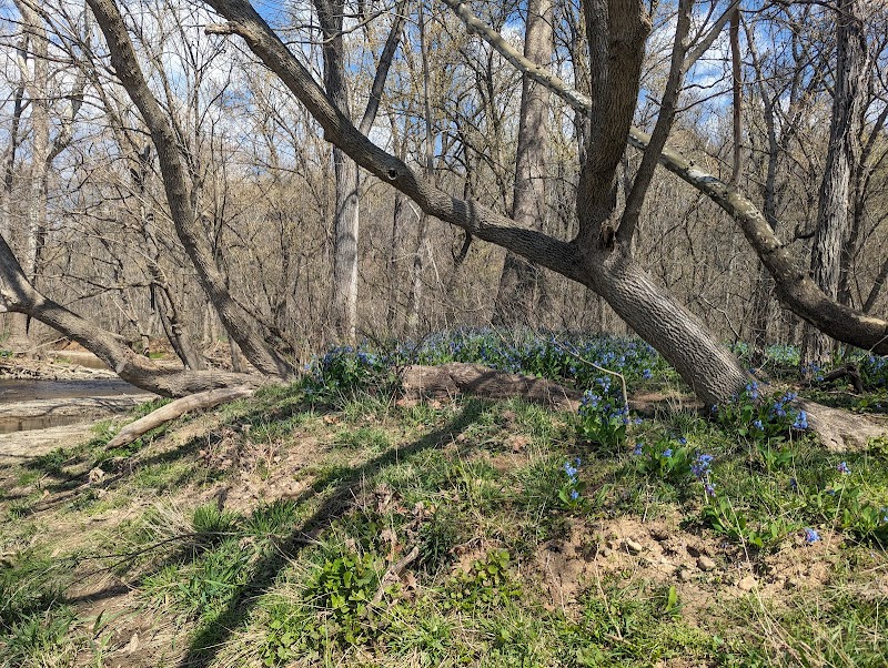 Shenandoah River State Park - Bentonville, VA