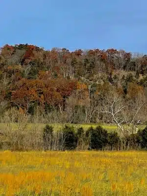 Shenandoah River State Park - Bentonville, VA