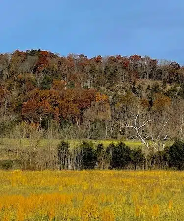 Shenandoah River State Park - Bentonville, VA