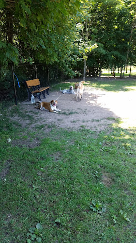 Benzonia Township Memorial Dog Park