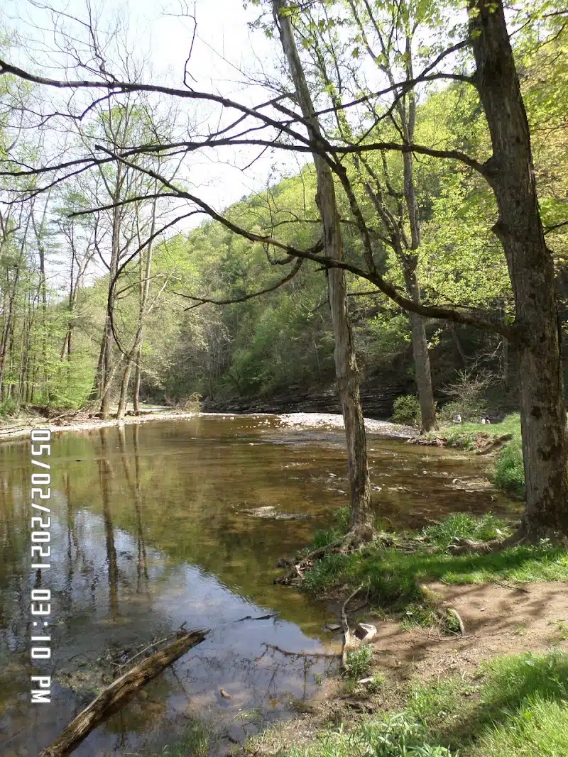 bergton-virginia-blue-hole-day-use-area-10