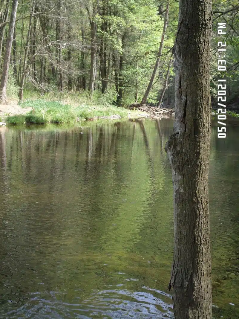 bergton-virginia-blue-hole-day-use-area-5