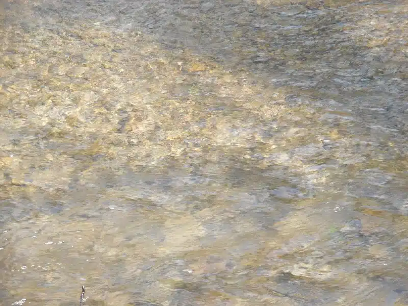bergton-virginia-blue-hole-day-use-area-9