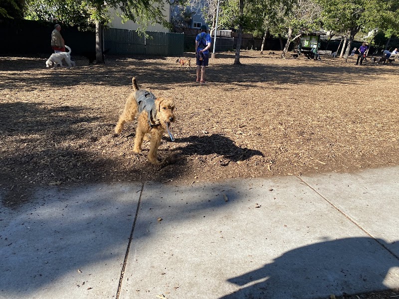 Ohlone Dog Park - Berkeley, CA