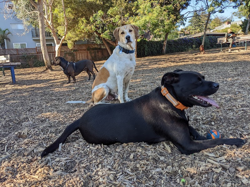 Ohlone Dog Park - Berkeley, CA
