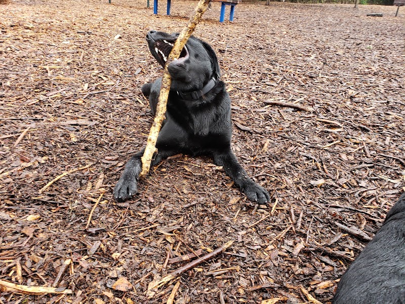 Ohlone Dog Park - Berkeley, CA