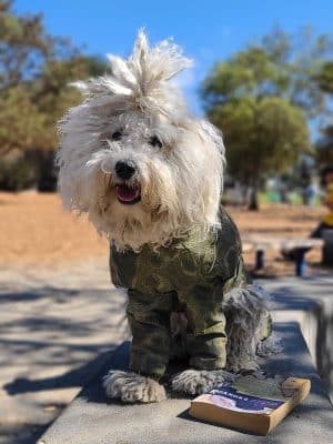 Ohlone Dog Park