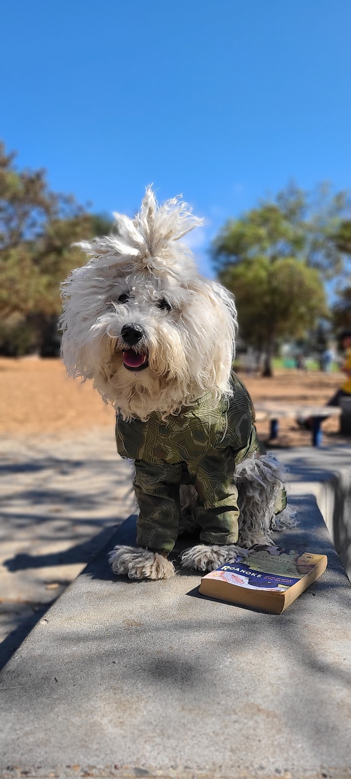 Ohlone Dog Park - Berkeley, CA