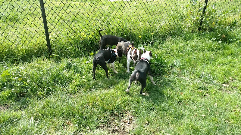Ohlone Dog Park - Berkeley, CA