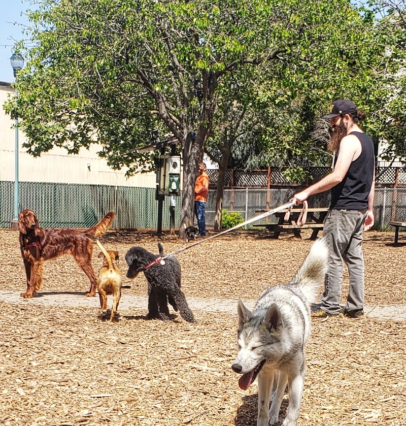 Ohlone Dog Park - Berkeley, CA