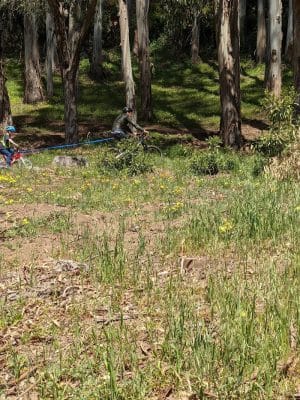 Sourgrass Path