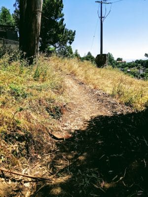 Sourgrass Path