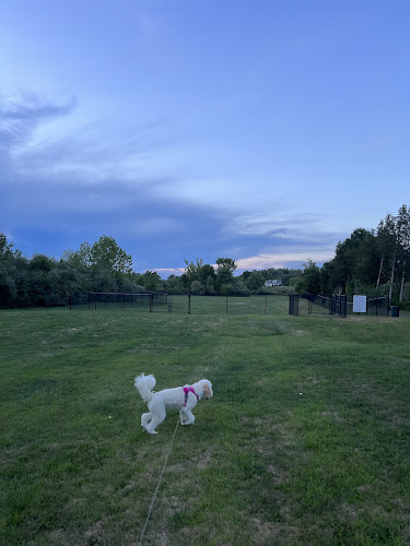 Berlin Dog Park (Leash Free Area)