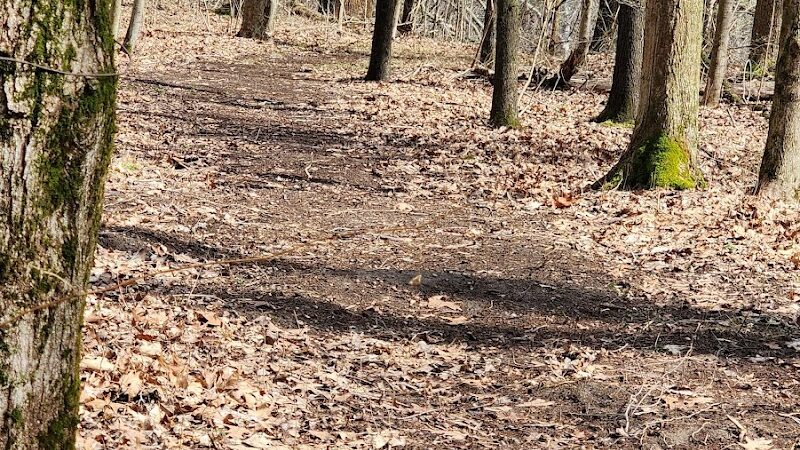 Berrien Township Range Line Park - Berrien Springs,