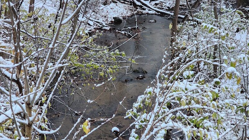 Berrien Township Range Line Park - Berrien Springs,