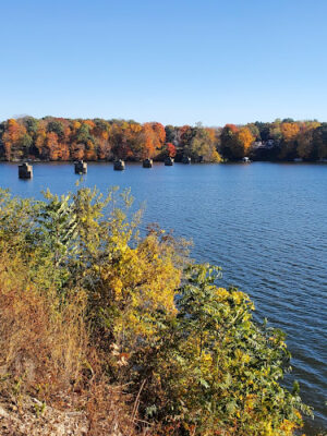 Wolf's Prairie Park