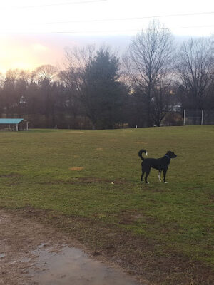 Teegarden Park