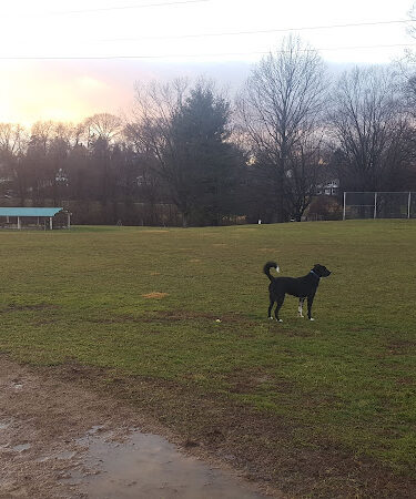 Teegarden Park
