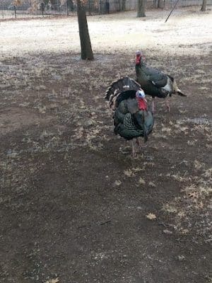 Riverside Park