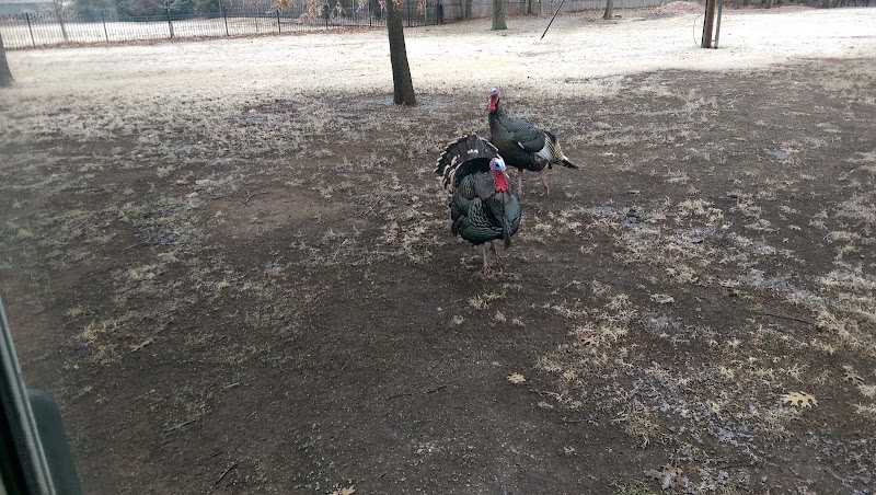 Riverside Park - Bethany, OK