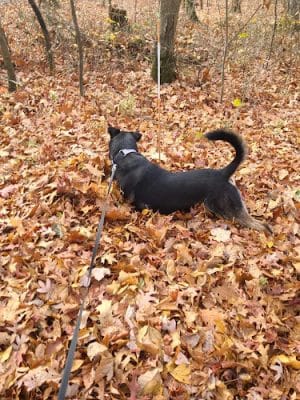 SNIFFY SNIFF SPOT