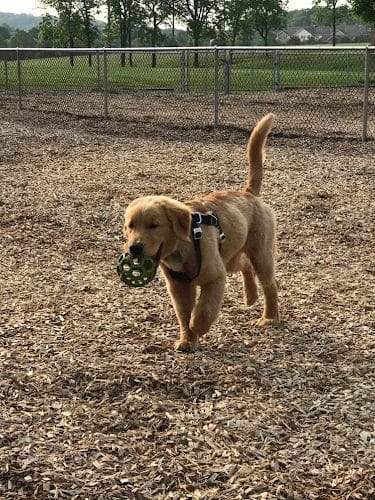 Hanover Township Dog Park