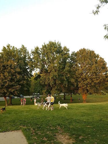 Crow Creek Dog Park