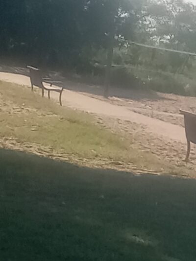 Kent County Parks and Recreation, Betterton Beach - Betterton, MD