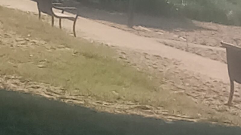 Kent County Parks and Recreation, Betterton Beach - Betterton, MD