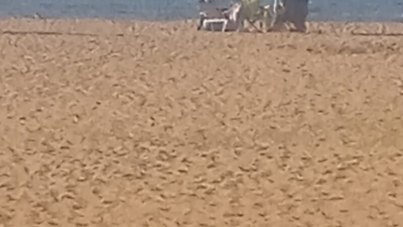 Kent County Parks and Recreation, Betterton Beach - Betterton, MD