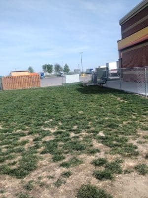 Dog Park at Love’s Travel Stops
