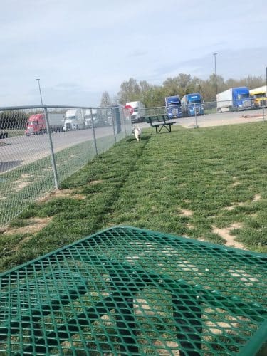 Dog Park at Love’s Travel Stops