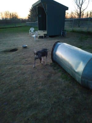 Biddeford Dog Park at Rotary Park