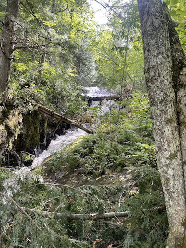 West Yellow Dog Falls Trailhead