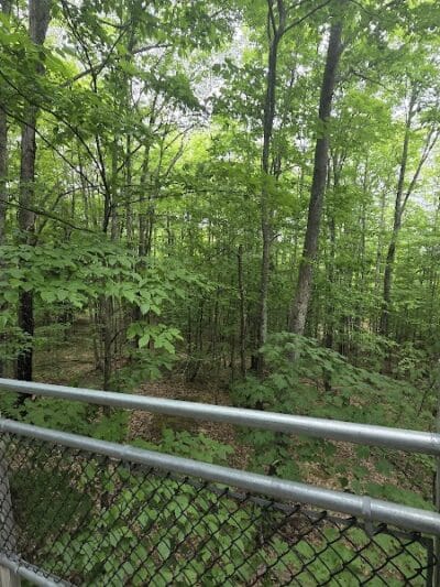 Perkins Park - Big Bay, MI