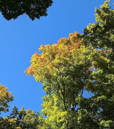 Perkins Park - Big Bay, MI