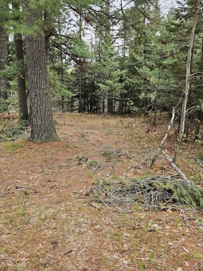 Luzerne Boardwalk for the shore to shore horseback and hiking trail. - Big Creek Township,